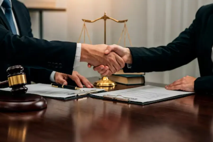 Financial and legal consultancy